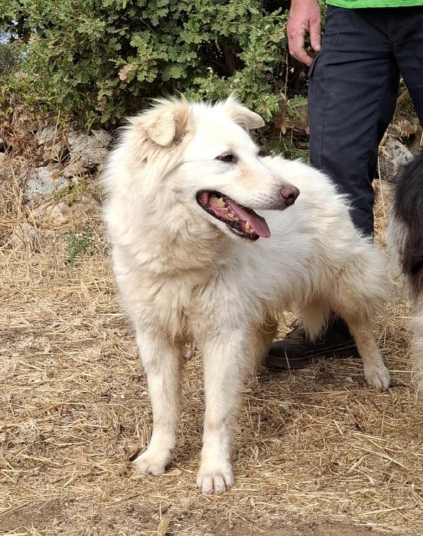 Nonna Penny Cerca Famiglia. Info Monica 3890238584 Foto 8